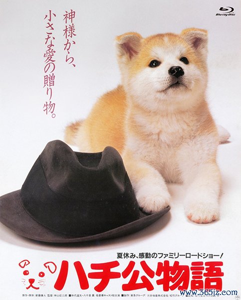 股票安全配资 《忠犬八公》票房破亿，这个人与狗的老故事为何依然感人