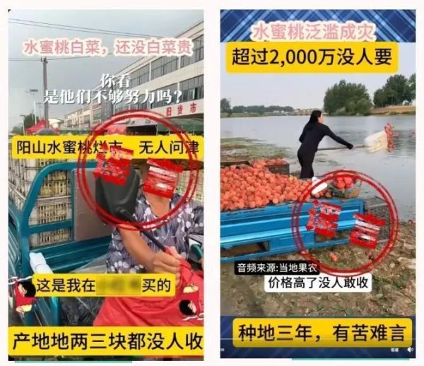 在线炒股配资公司 造谣“阳山水蜜桃断崖式跌价大量滞销、烂大街”，嫌疑人被抓获！