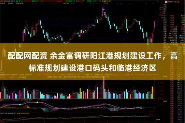 配配网配资 余金富调研阳江港规划建设工作，高标准规划建设港口码头和临港经济区